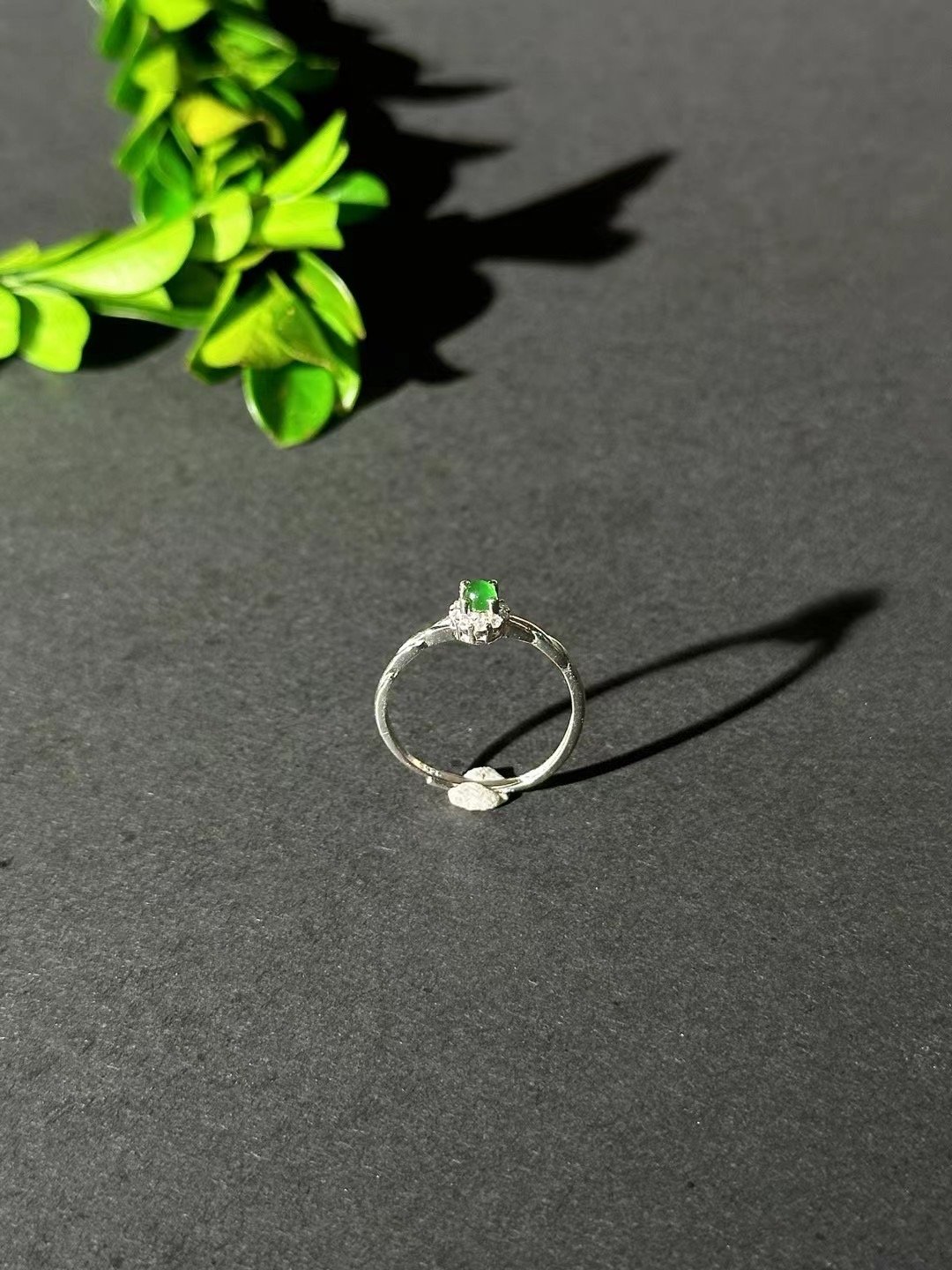 微信图片_20250527175725